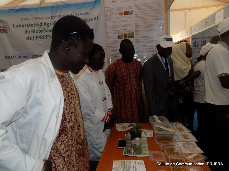 Stands de l'IPR-IFRA de Katibougou à la 2ème édition de la Fête des Sciences (24)