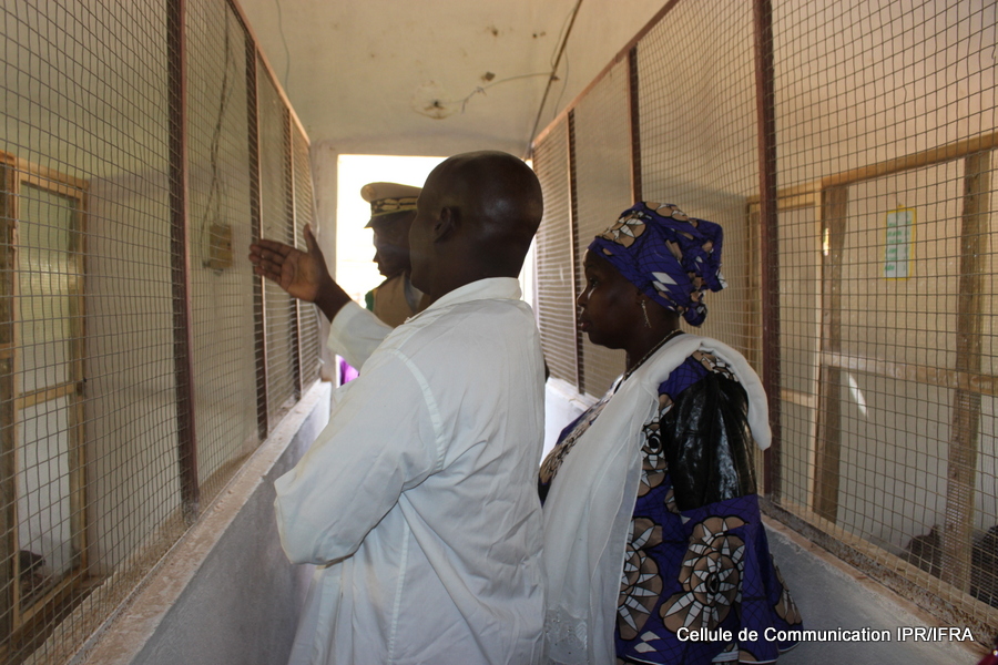 Visite du Secteur d'élevage (activité de recherche en aviculture) (3)