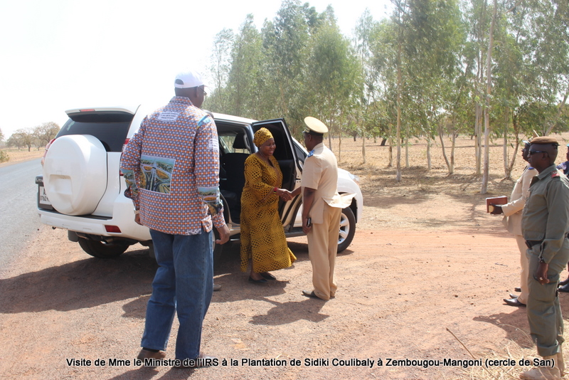Visite Plantation Sidiki Coulibaly-Projet PROFEIS (32)