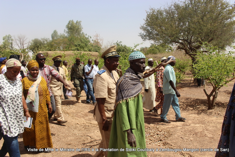 Visite Plantation Sidiki Coulibaly-Projet PROFEIS (72)