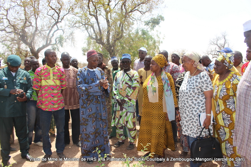 Visite Plantation Sidiki Coulibaly-Projet PROFEIS (93)