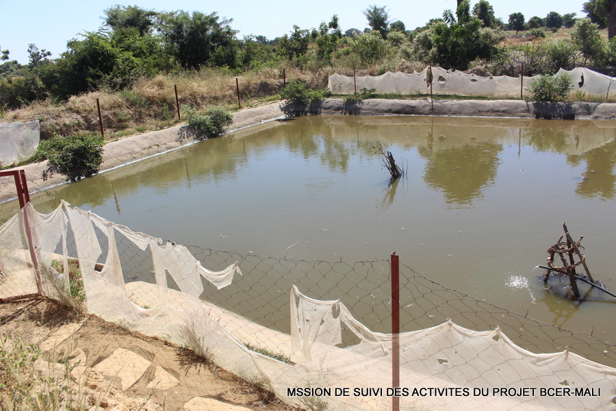 Bassin de collecte d'eaux de ruisselement à Soignèbougou..