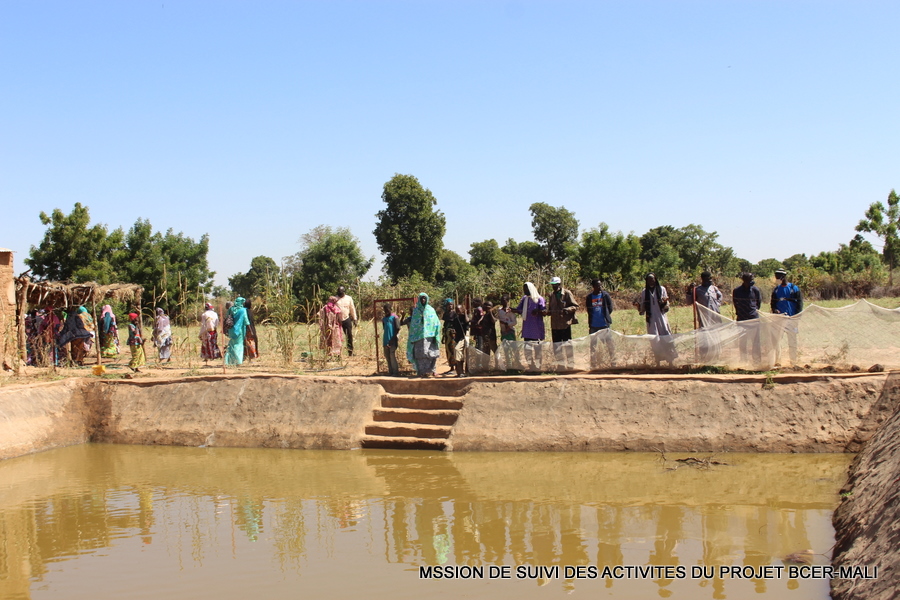 Bassin de collecte d'eaux de ruisselement à Soignèbougou